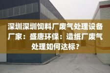 深圳深圳饲料厂废气处理设备厂家：盛唐环保：造纸厂废气处理如何达标？