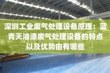 深圳工业废气处理设备原理：蓝青天油漆废气处理设备的特点以及优势由有哪些