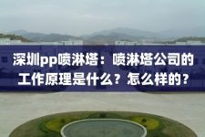 深圳pp喷淋塔：喷淋塔公司的工作原理是什么？怎么样的？