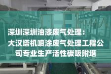 深圳深圳油漆废气处理：
大汉塔机喷涂废气处理工程公司专业生产活性碳吸附塔