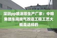 深圳pp喷淋塔生产厂家：中粮集团车间废气改造工程工艺大概是这样的