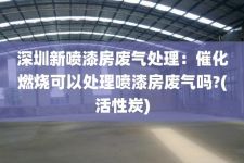 深圳新喷漆房废气处理：催化燃烧可以处理喷漆房废气吗?(活性炭)