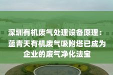 深圳有机废气处理设备原理：
蓝青天有机废气吸附塔已成为企业的废气净化法宝